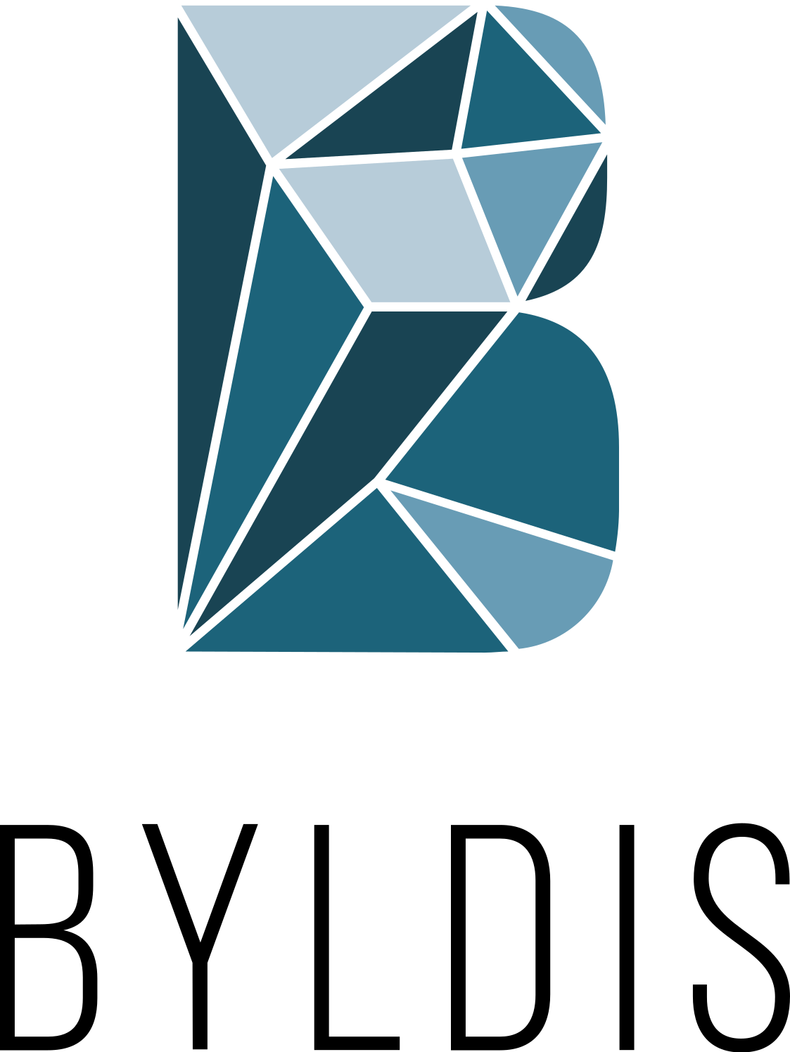 logo_byldis - kopie